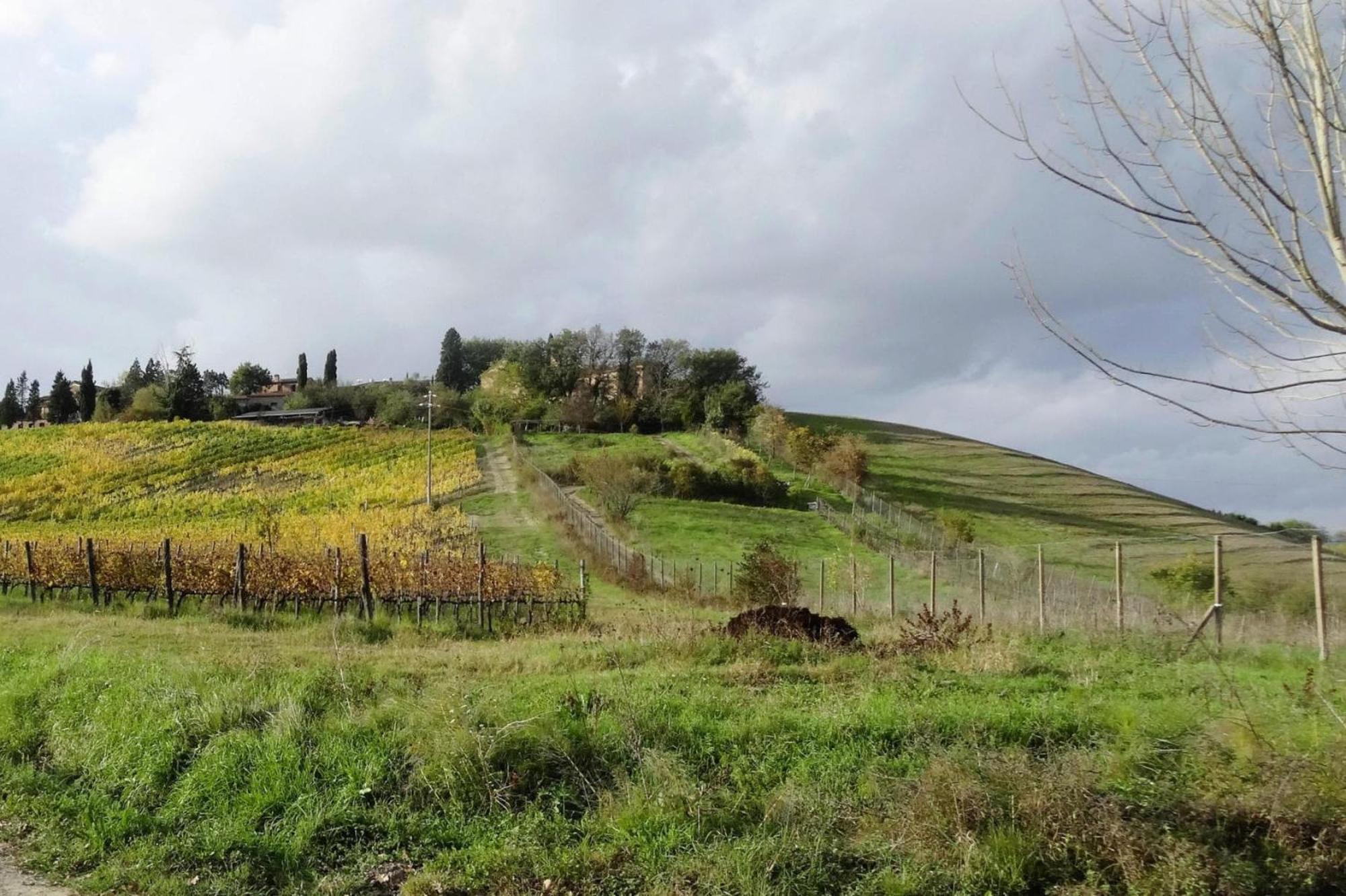 Fattoria Bio Pieve A Salti Montalcino Apartman Kültér fotó